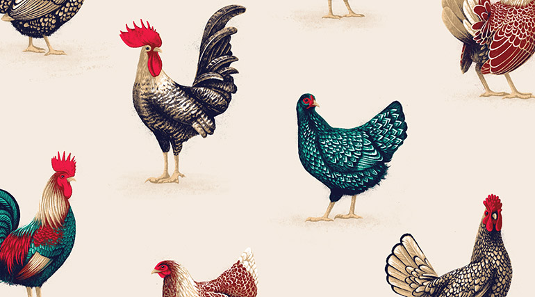 Chickens pattern