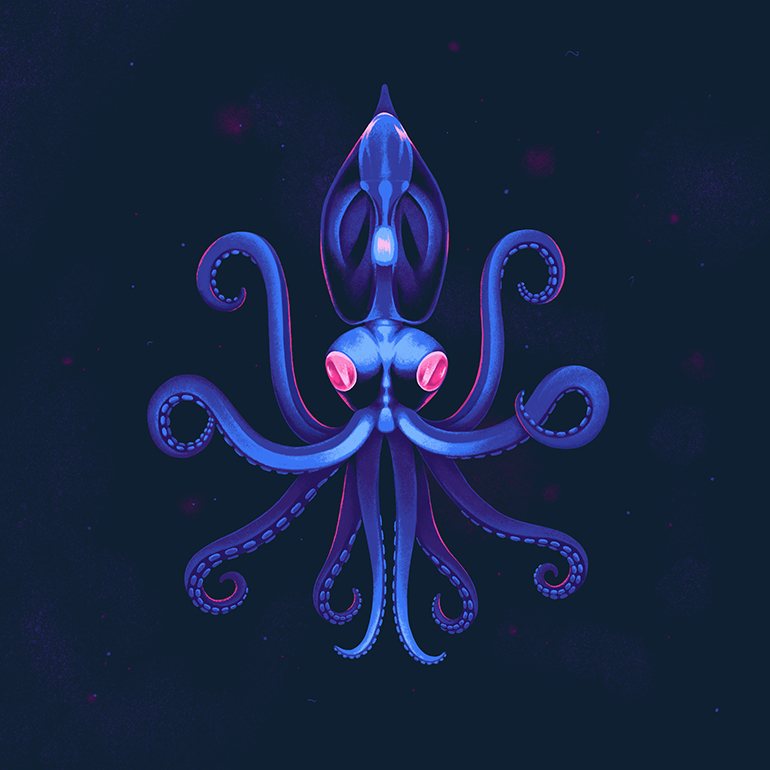 Deep Sea Creatures - Squid