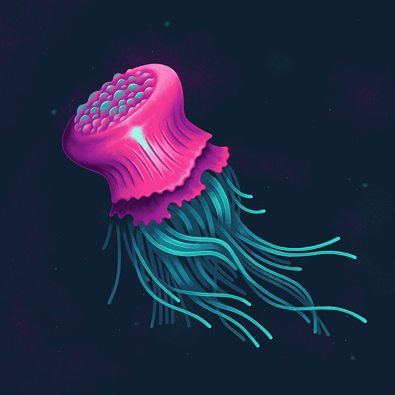 Deep Sea Creatures - Jellyfish