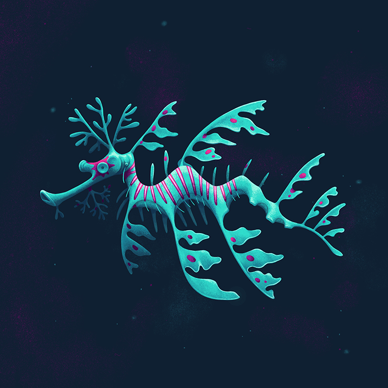 Deep Sea Creatures - Leafy Seadragon