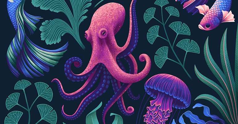 Octopus illustration detail