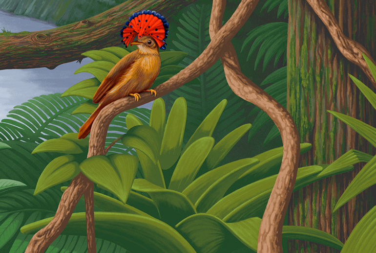 Guyana Rainforest detail